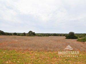 Beautiful plot in Santanyi with approved construction project for sale
