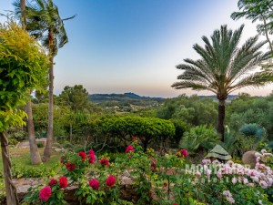Son Macià - Country estate with 2 fincas & outbuildings with partial sea view