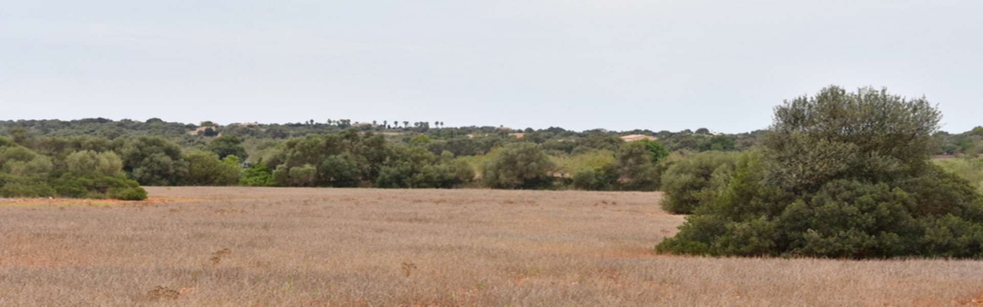 Santanyí - Plot of land with submitted building project for sale