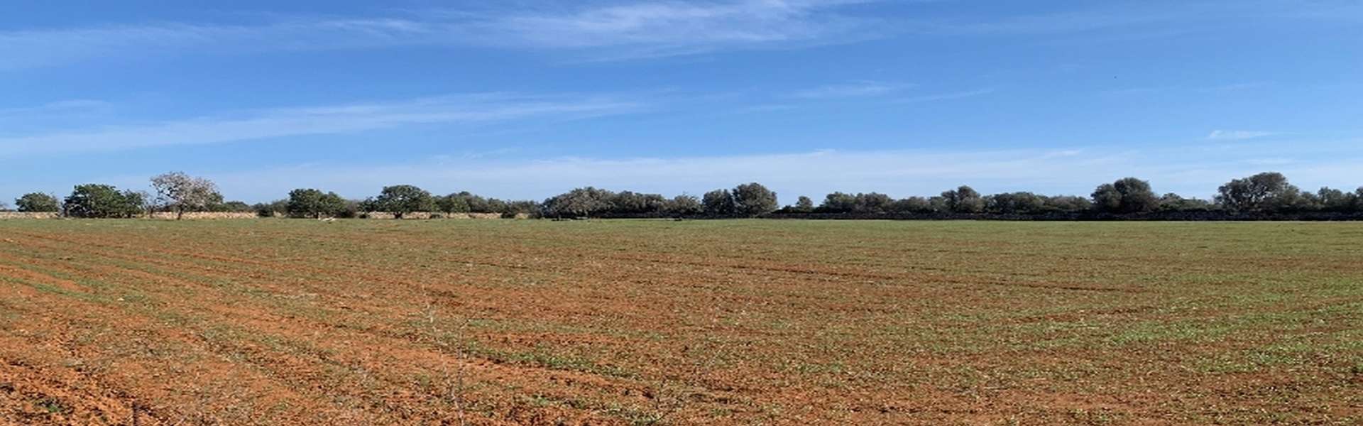 Plot of land for sale near Cala Santanyí