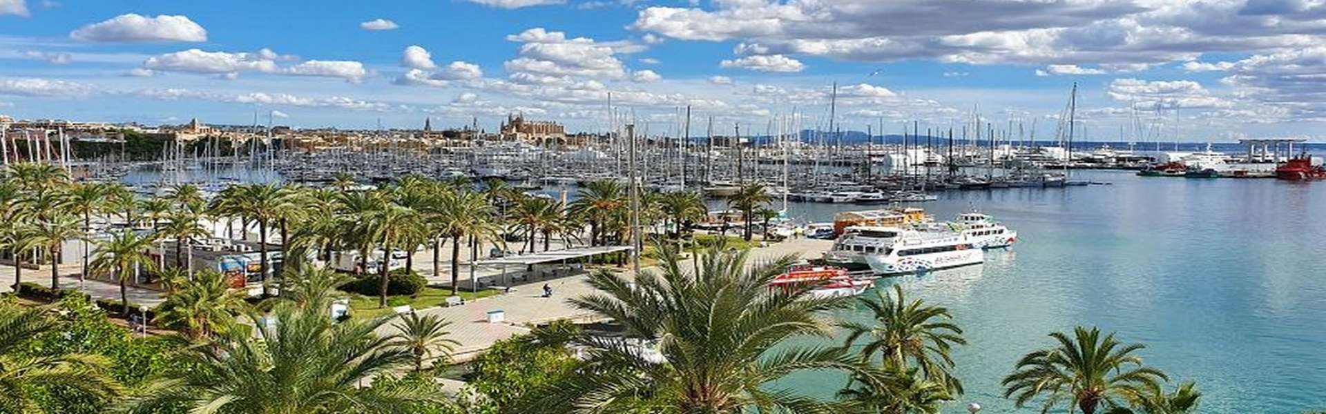 Palma/Paseo Marítimo - Apartment with panoramic views of the sea and the cathedral