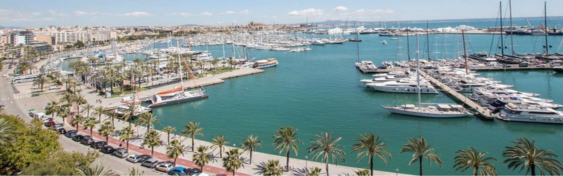 Palma/Paseo Marítimo - Apartment with panoramic views of the sea and the cathedral