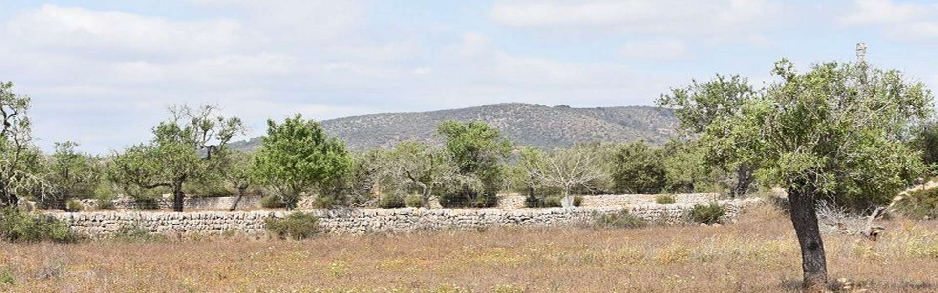 Santanyí - Plot with building project in beautiful location  