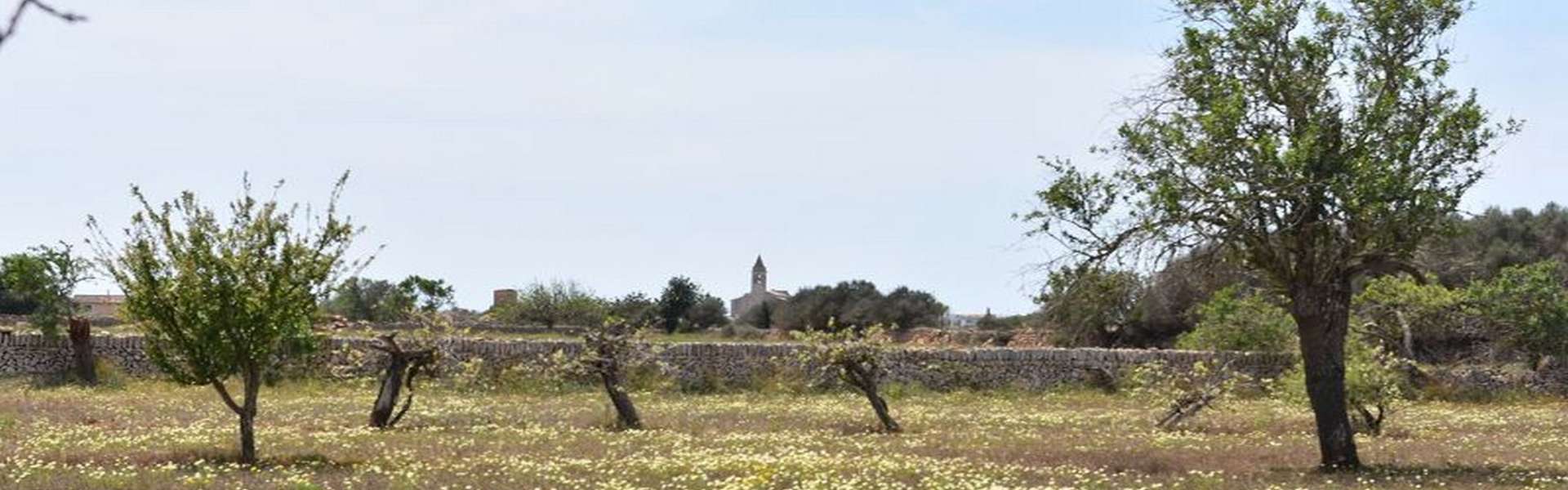 Plot with approved construction project in Santanyí