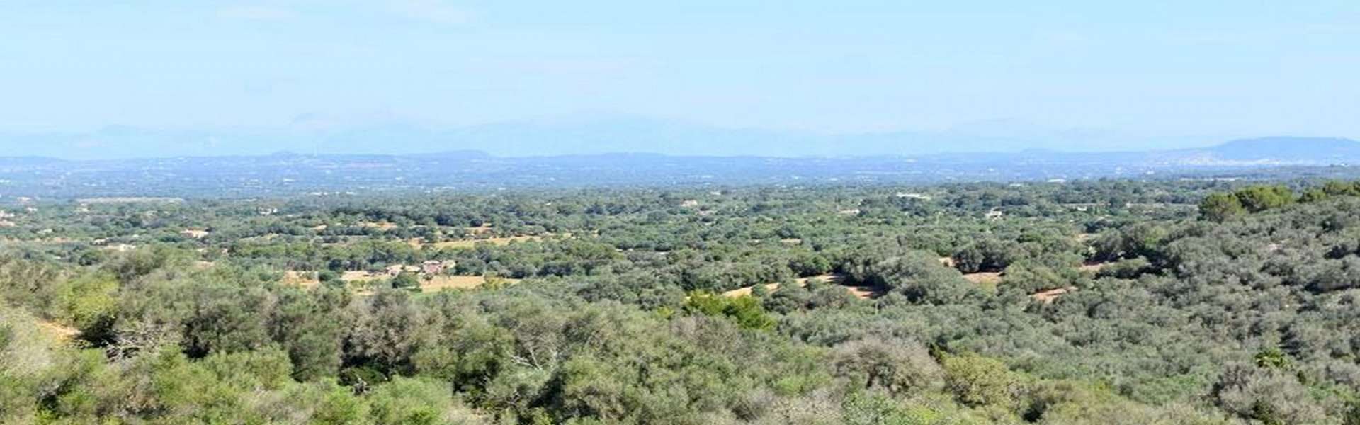 Cas Concos - Typical mallorquin finca with fantastic panoramic view 
